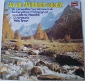 Wo der Wildbach rauscht